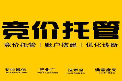 案例研究：SEM优化助力品牌知名度